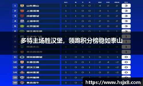 多特主场胜汉堡，领跑积分榜稳如泰山
