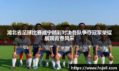 湖北省足球比赛咸宁精彩对决各队争夺冠军荣耀展现青春风采