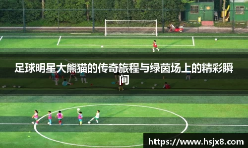 足球明星大熊猫的传奇旅程与绿茵场上的精彩瞬间