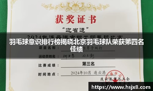 羽毛球意识排行榜揭晓北京羽毛球队荣获第四名佳绩